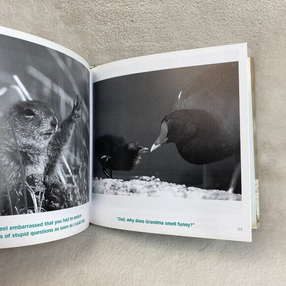 Dear Dad By Bradley Trevor Greive Paperback Non-Fiction Inspiration Humour Book - Picture 6 of 10